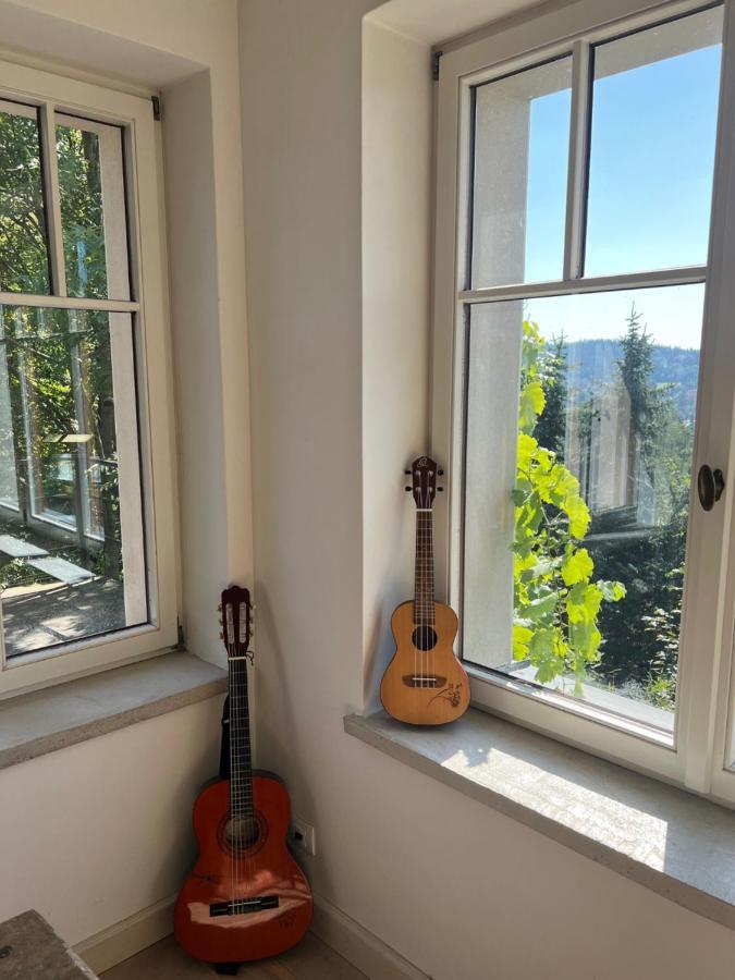 Vila Bellevue Jablonec nad Nisou Εξωτερικό φωτογραφία